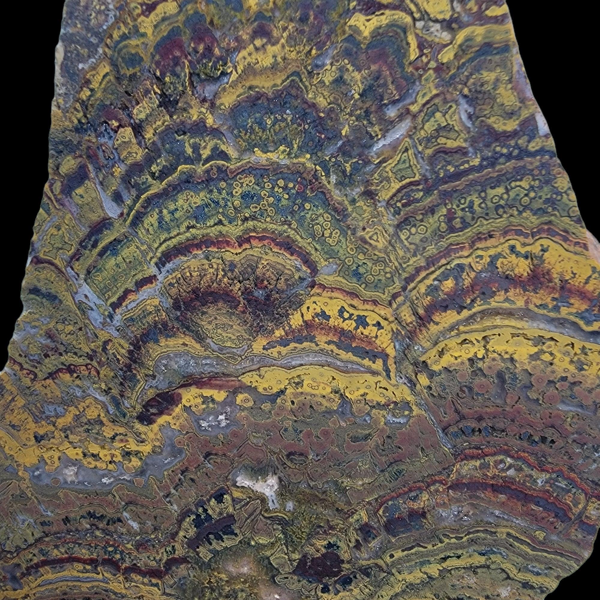 Apple Valley Jasper Slab!  Fossil Stromatolite!  Lapidary Slab! - LapidaryCentral