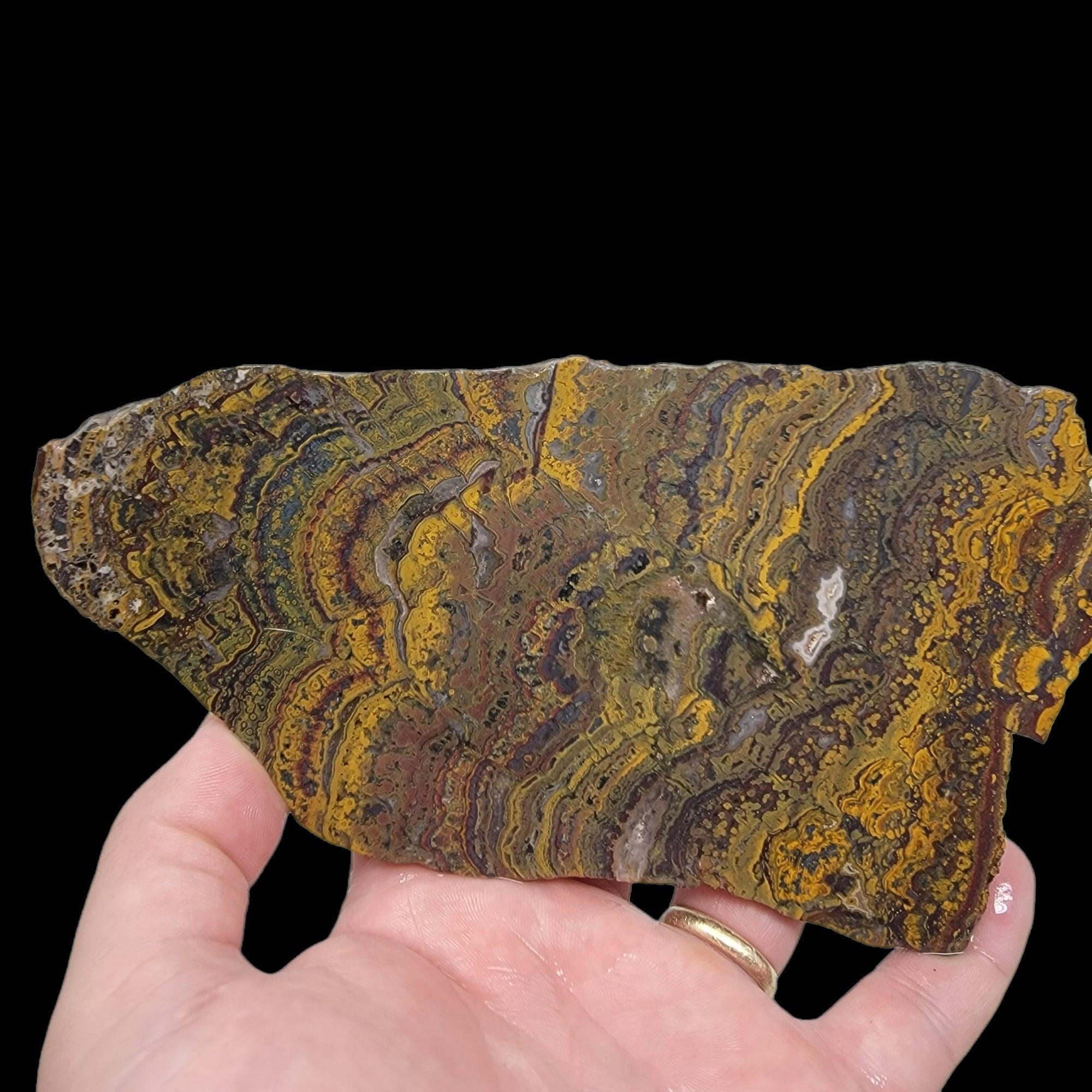 Apple Valley Jasper Slab!  Fossil Stromatolite!  Lapidary Slab! - LapidaryCentral