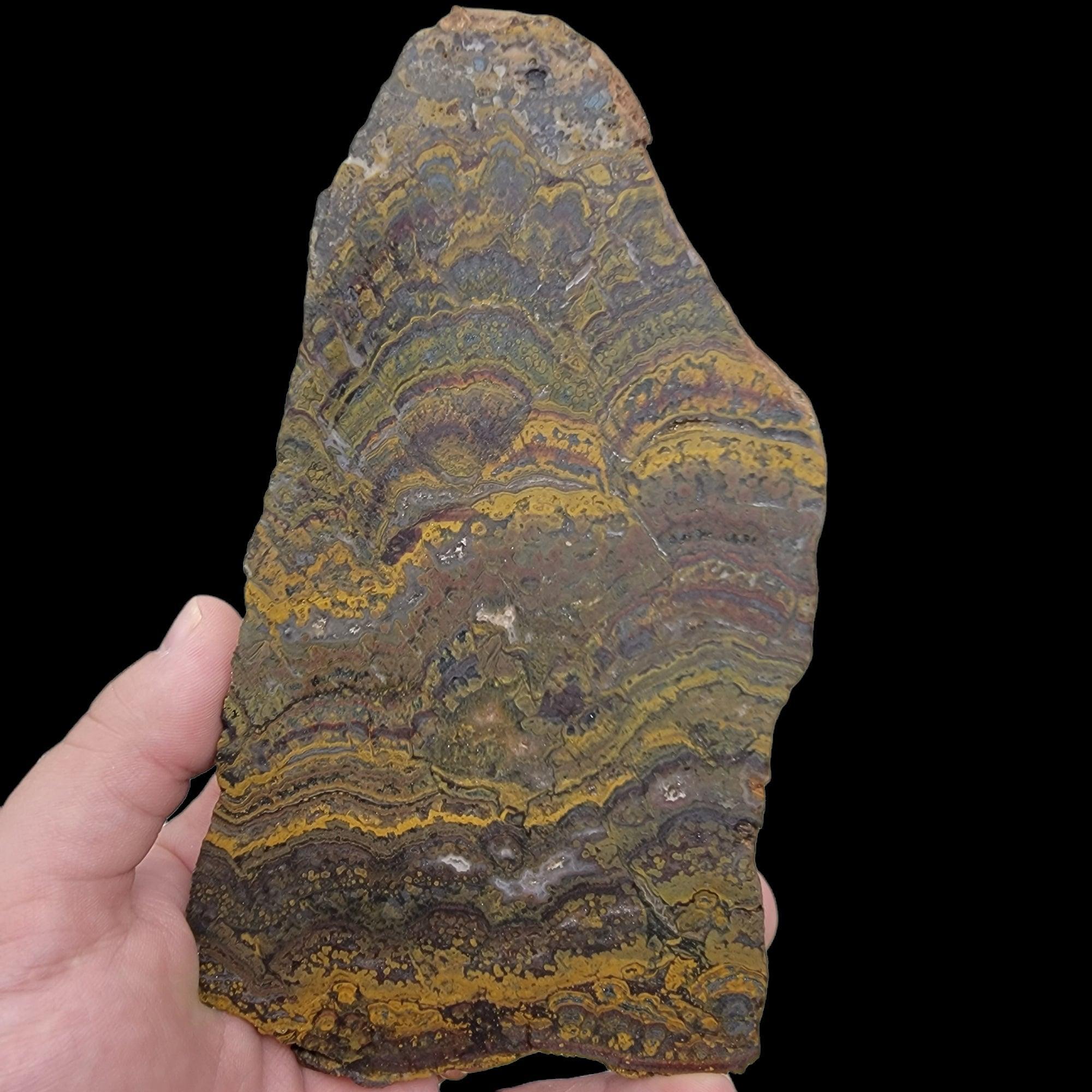 Apple Valley Jasper Slab!  Fossil Stromatolite!  Lapidary Slab! - LapidaryCentral