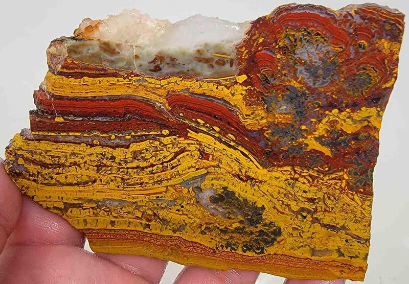 Apple Valley Jasper Slab! Fossil Stromatolite Jasper Slab! - LapidaryCentral
