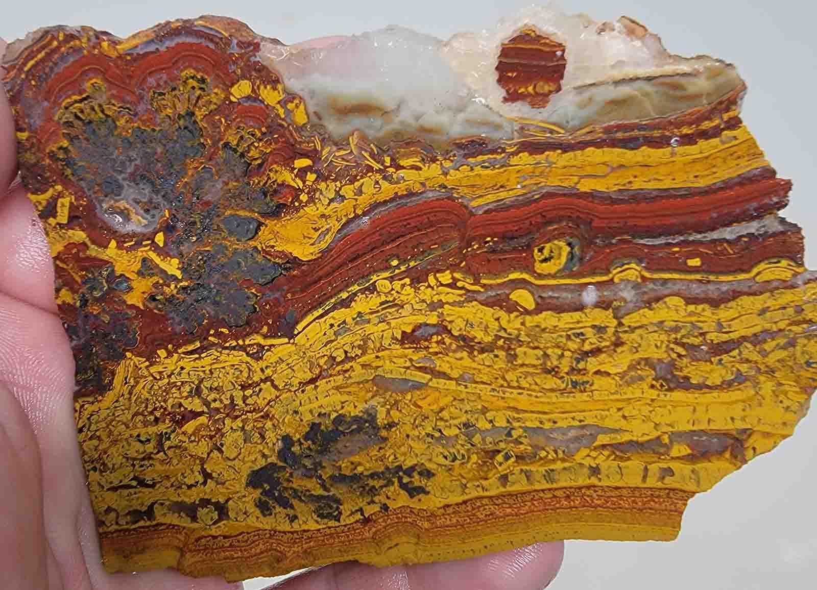 Apple Valley Jasper Slab! Fossil Stromatolite Jasper Slab! - LapidaryCentral