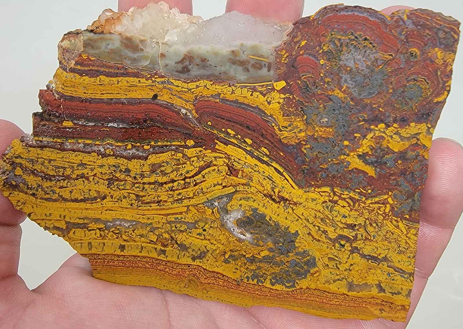 Apple Valley Jasper Slab! Fossil Stromatolite Jasper Slab! - LapidaryCentral