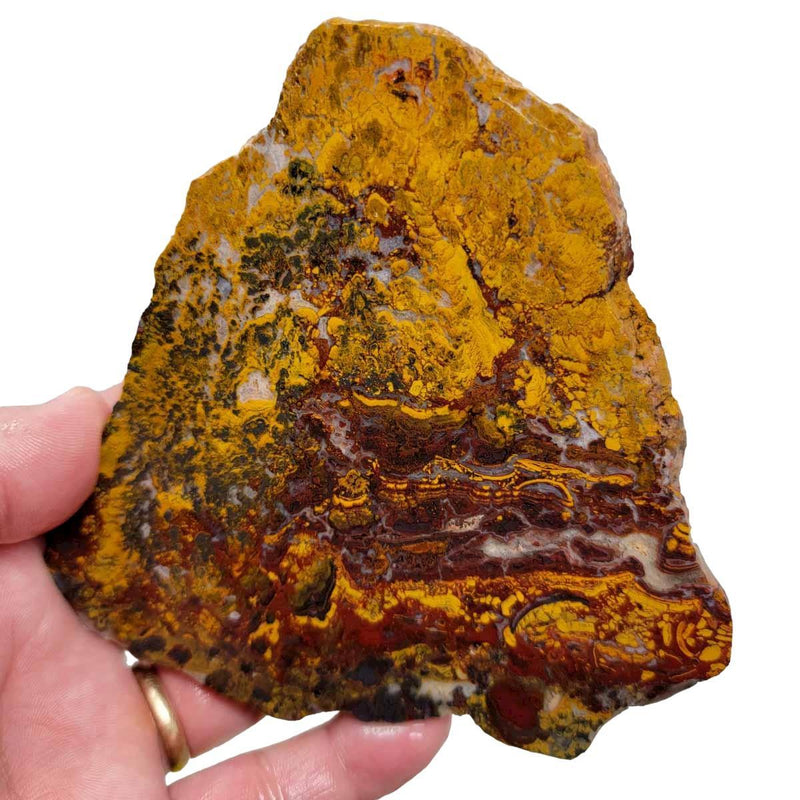 Apple Valley Jasper Slab!  Fossil Stromatolite Slab! - LapidaryCentral