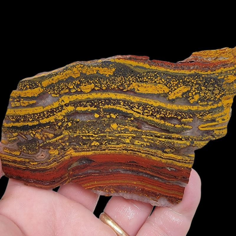 Apple Valley Jasper Slab!  Fossil Stromatolite Slab! - LapidaryCentral