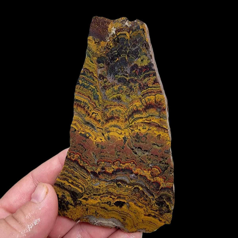 Apple Valley Jasper Slab!  Fossil Stromatolite Slab! - LapidaryCentral