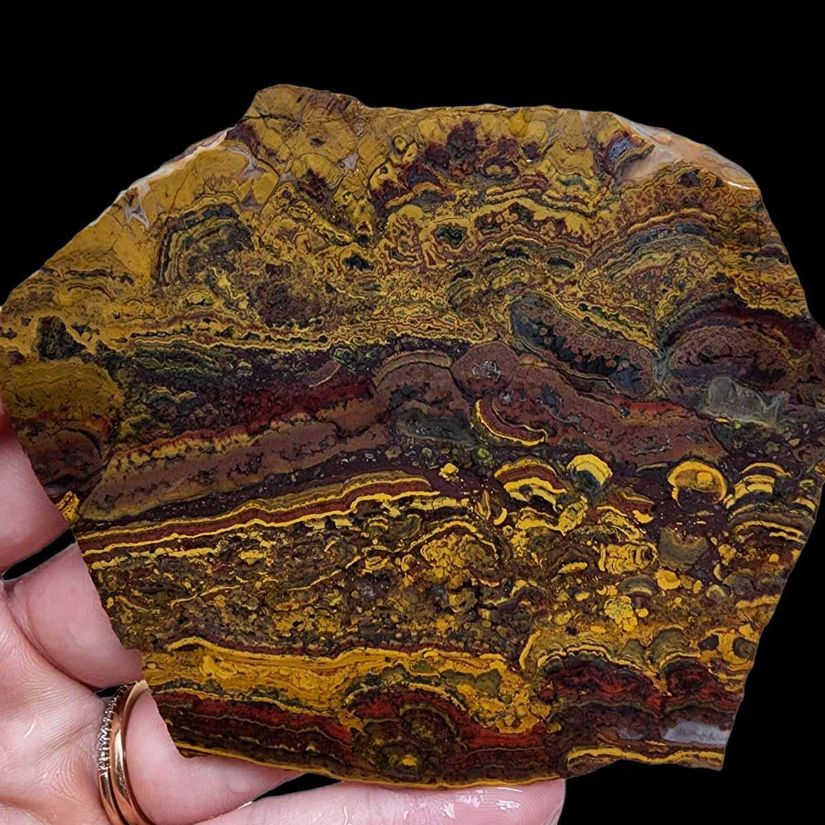 Apple Valley Jasper Slab!  Fossil Stromatolite Slab! - LapidaryCentral