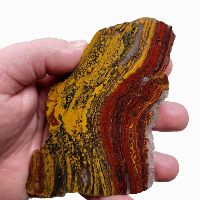 Apple Valley Jasper Slab!  Fossil Stromatolite Slab! - LapidaryCentral
