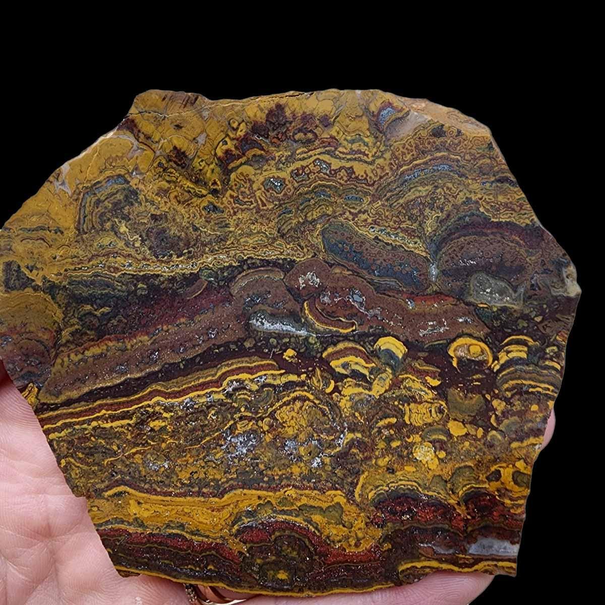 Apple Valley Jasper Slab!  Fossil Stromatolite Slab! - LapidaryCentral