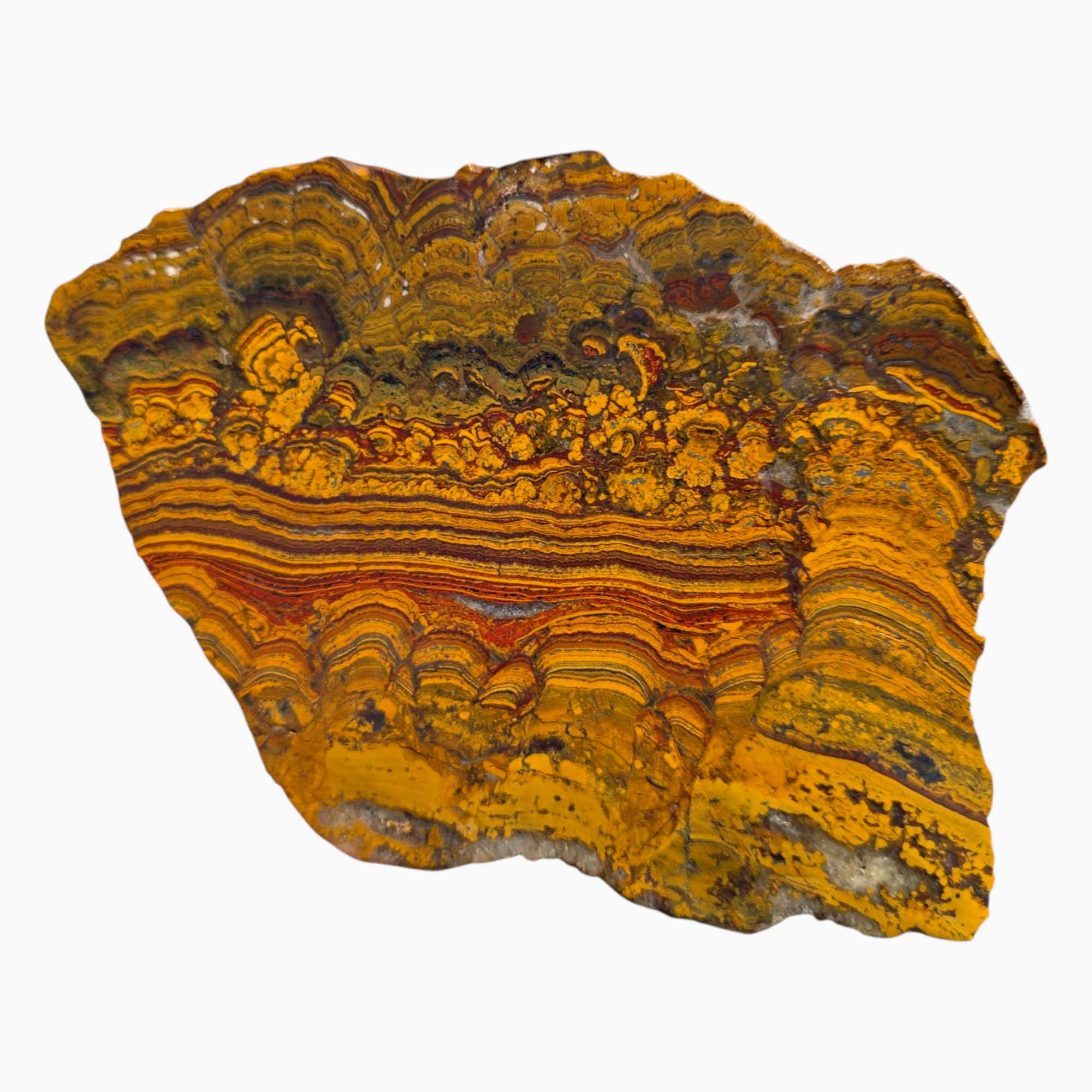 Large Apple Valley Jasper Slab – Red Brushstrokes & Hematite Flowers