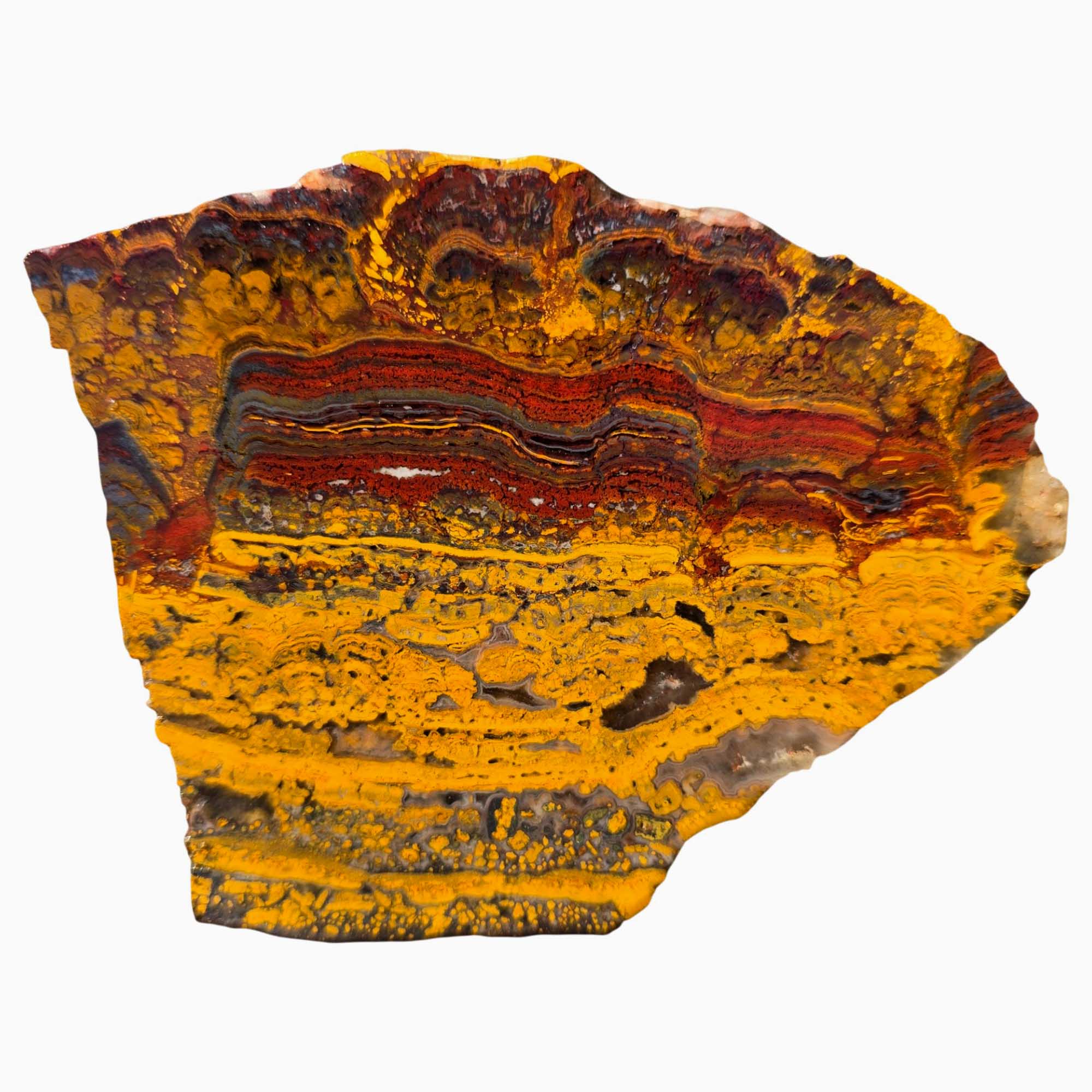 Apple Valley Jasper Slab – Wavy Red Oolitic Hematite Flowers – Sahara