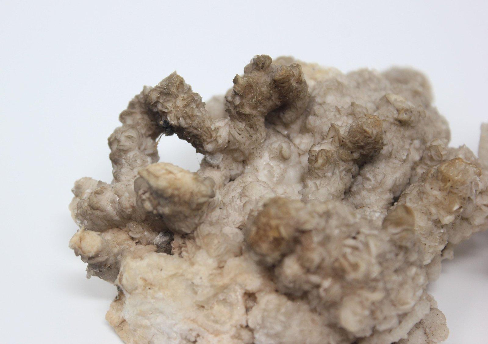 RARE White Aragonite Crystal Cluster Formation! GORGEOUS!!! - LapidaryCentral