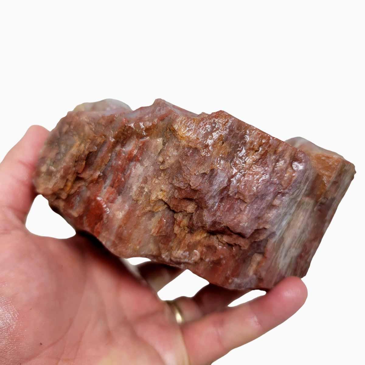 17 lb Az rainbow chunk petrified wood Agatized popular specimen