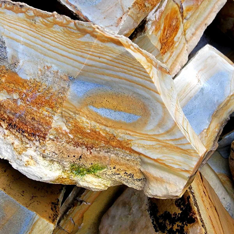 Old Stock Arroyo Picture Jasper Rough Flatrate! - LapidaryCentral