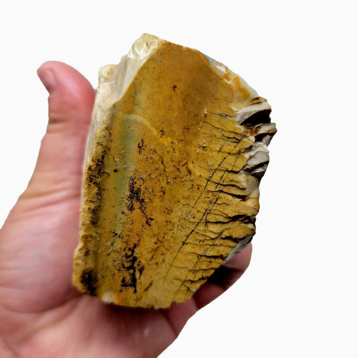 Arroyo Picture Jasper Rough Chunk! - LapidaryCentral