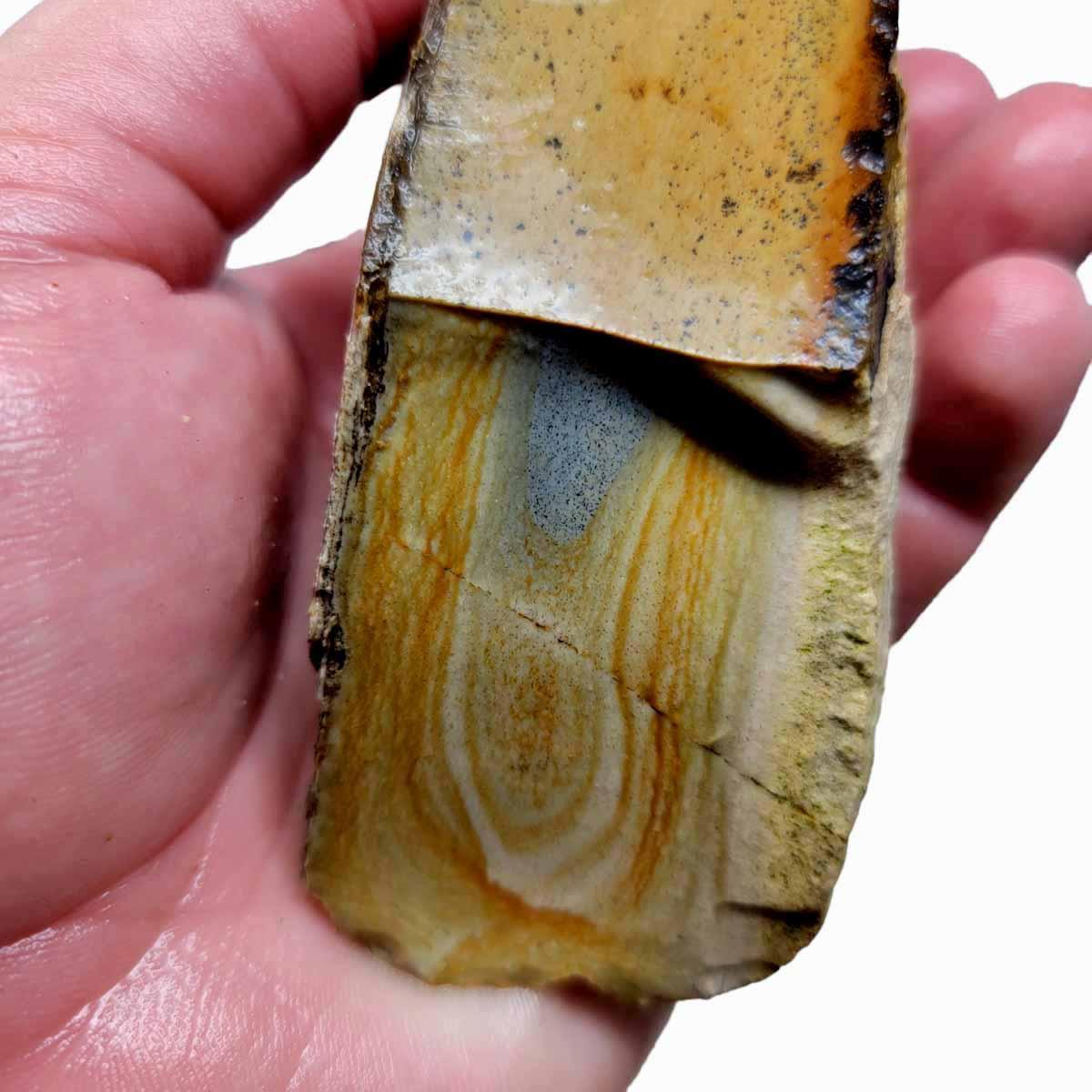 Arroyo Picture Jasper Rough Chunk! - LapidaryCentral