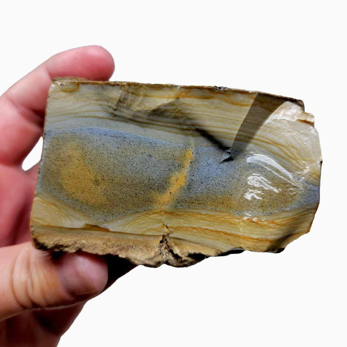 Arroyo Picture Jasper Rough Chunk! - LapidaryCentral