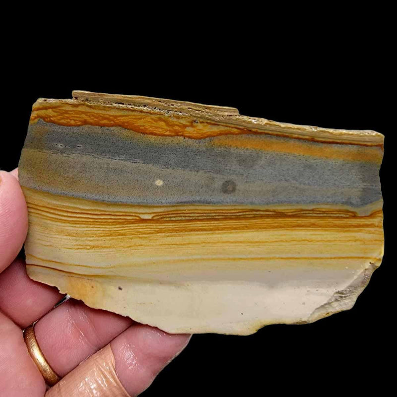 Old Stock Arroyo Picture Jasper Slab!  Lapidary Stone Slab! - LapidaryCentral