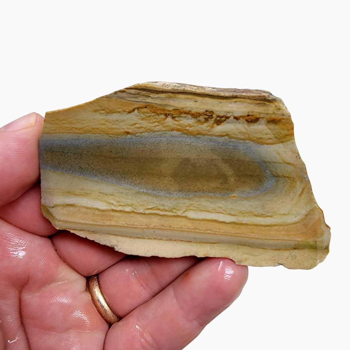 Old Stock Arroyo Picture Jasper Slab! Lapidary Stone Slab! - Lapidary Central