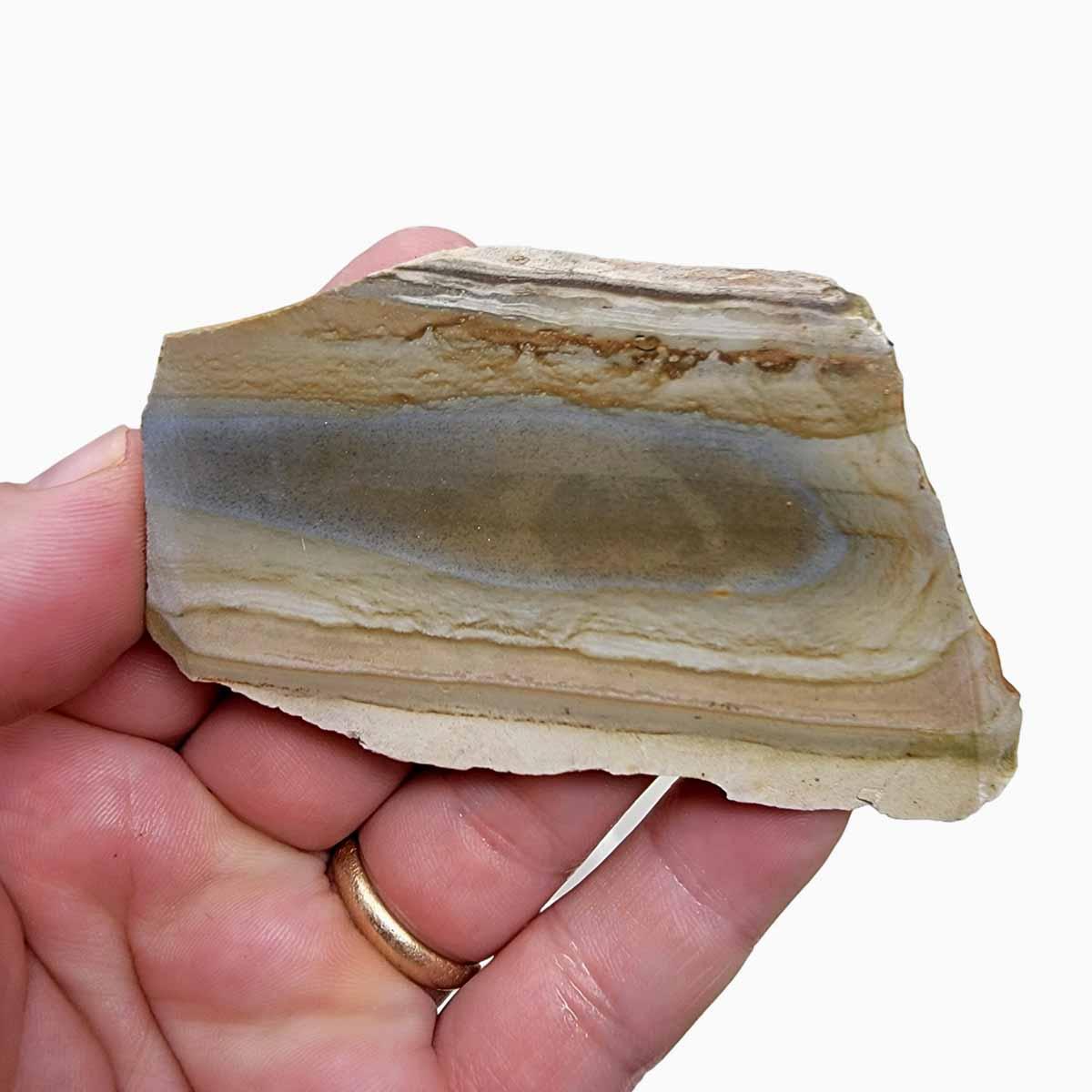 Old Stock Arroyo Picture Jasper Slab! Lapidary Stone Slab! - Lapidary Central