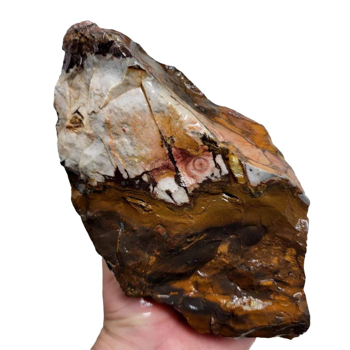 Australian Outback Jasper Rough Chunk! - LapidaryCentral