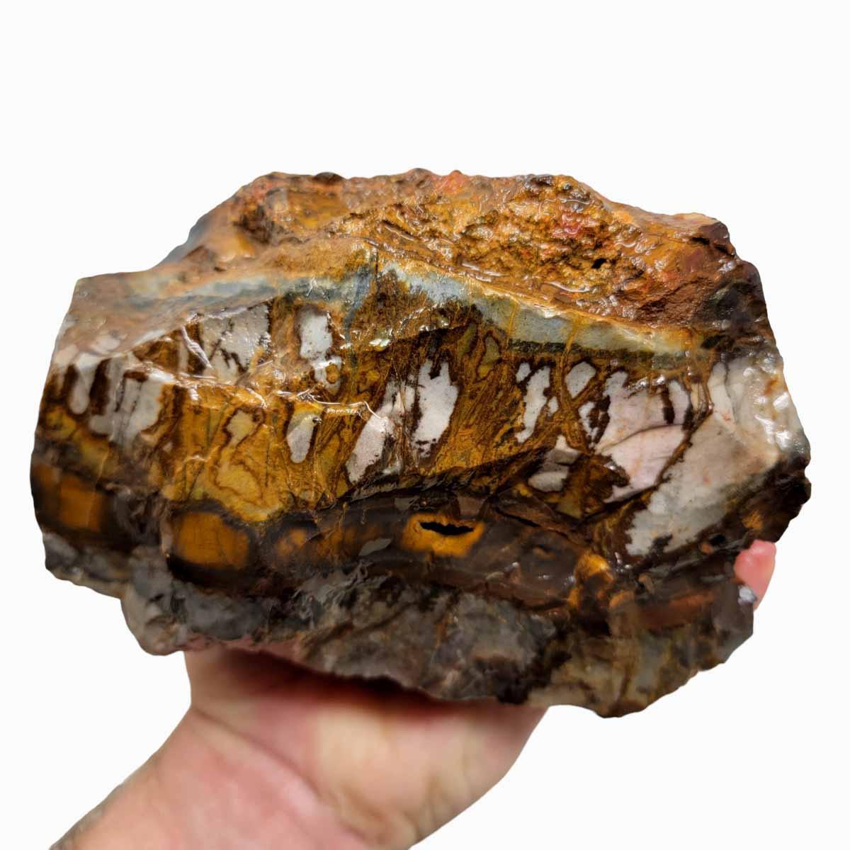 Australian Outback Jasper Rough Chunk! - LapidaryCentral