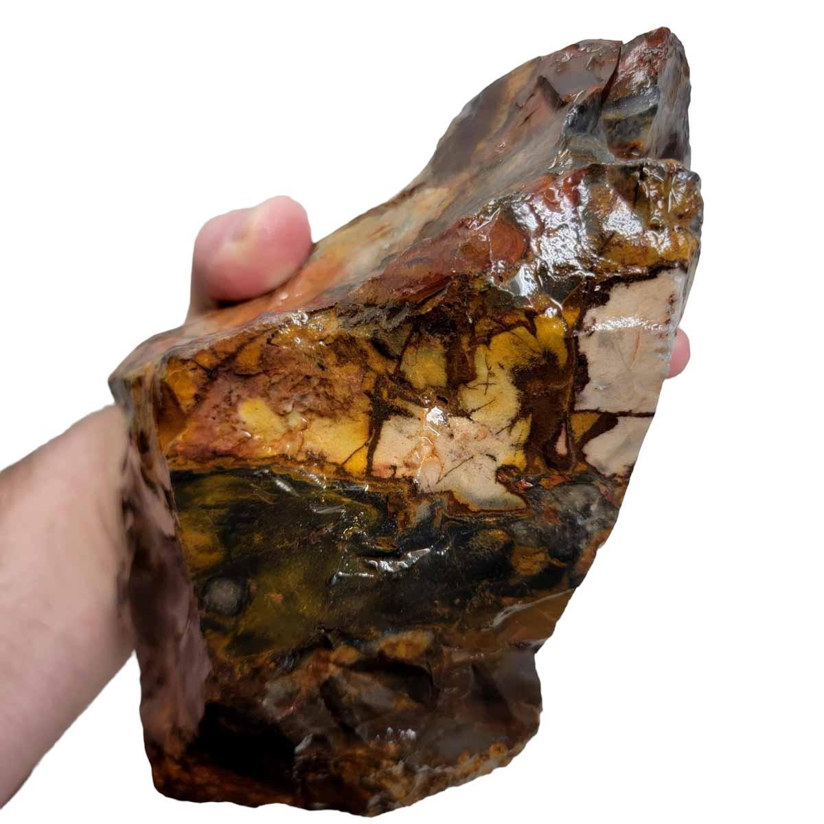 Australian Outback Jasper Rough Chunk! - LapidaryCentral