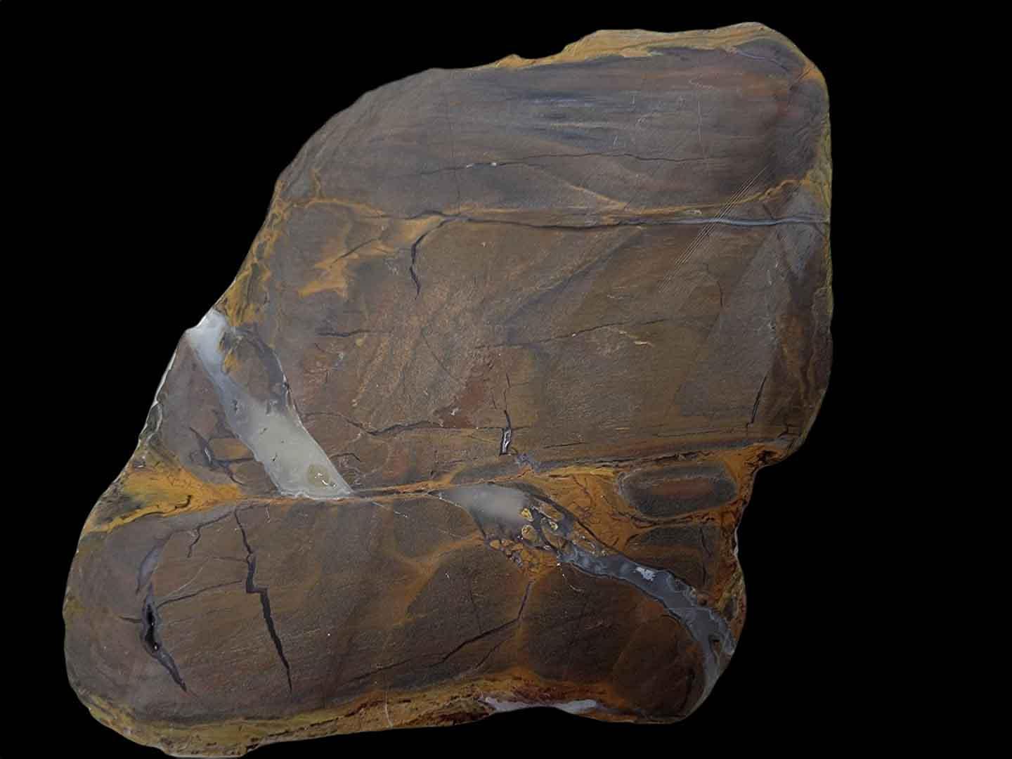 Old Stock Australian Petrified Wood Slab!  Lapidary Stone Slab! - LapidaryCentral
