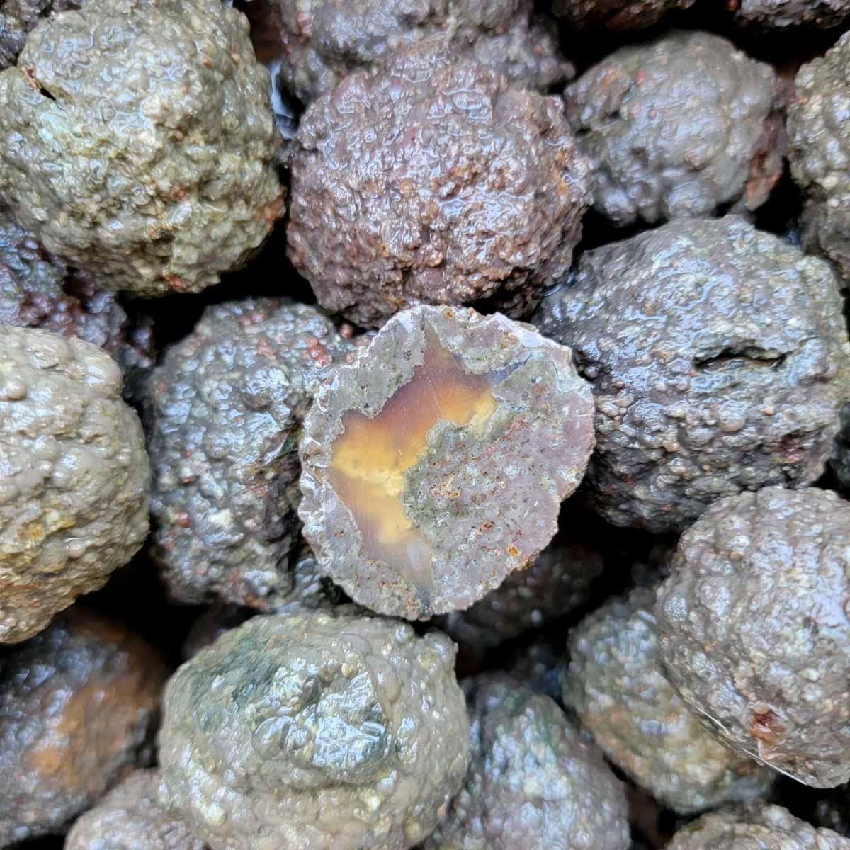 Old Stock Baby Luck strike Thunderegg Rough Flatrate! - Lapidary Central