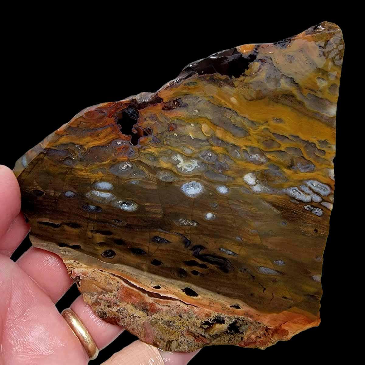 Slab Rim Picture Rim Jasper Bat Cave Agate Slab! Lapidary Stone Slab!