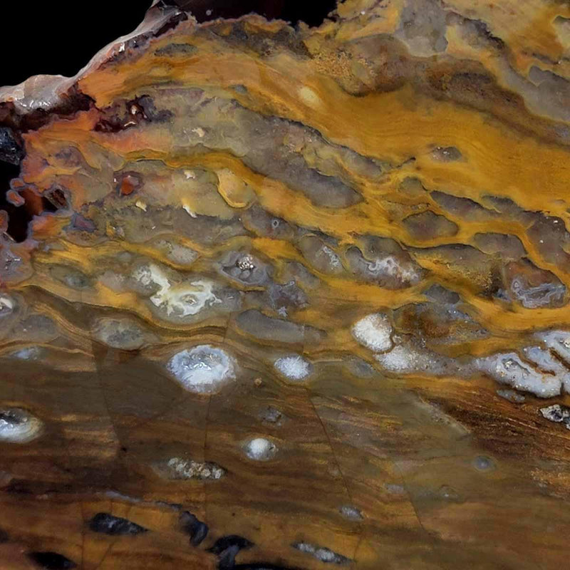 Rim Jasper Bat Cave Agate Slab!  Lapidary Stone Slab! - LapidaryCentral