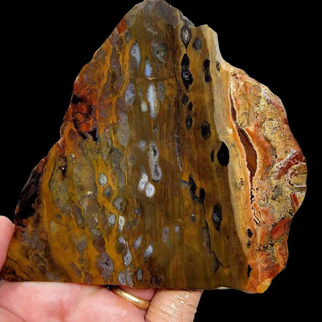 Slab Rim Picture Rim Jasper Bat Cave Agate Slab! Lapidary Stone Slab!