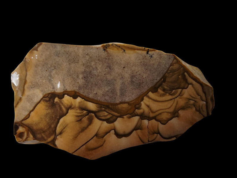 Old Stock Biggs Picture Jasper One Cab Slab!  Lapidary Stone Slab! - LapidaryCentral