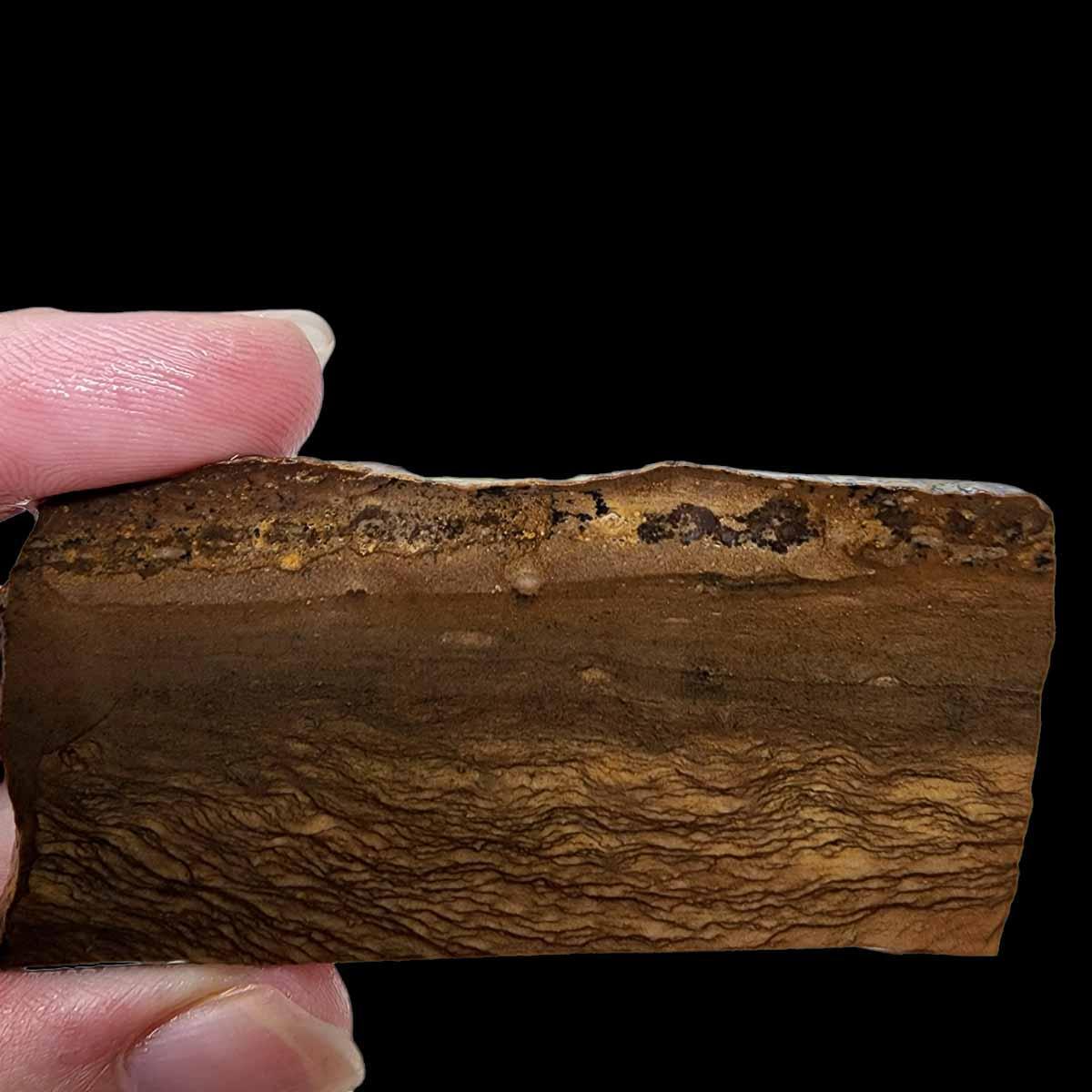 Old Stock Biggs Picture Jasper Slab!  Lapidary Stone Slab! - LapidaryCentral