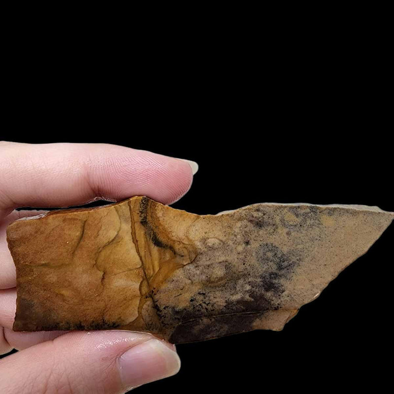 Old Stock Biggs Picture Jasper Slab!  Lapidary Stone Slab! - LapidaryCentral