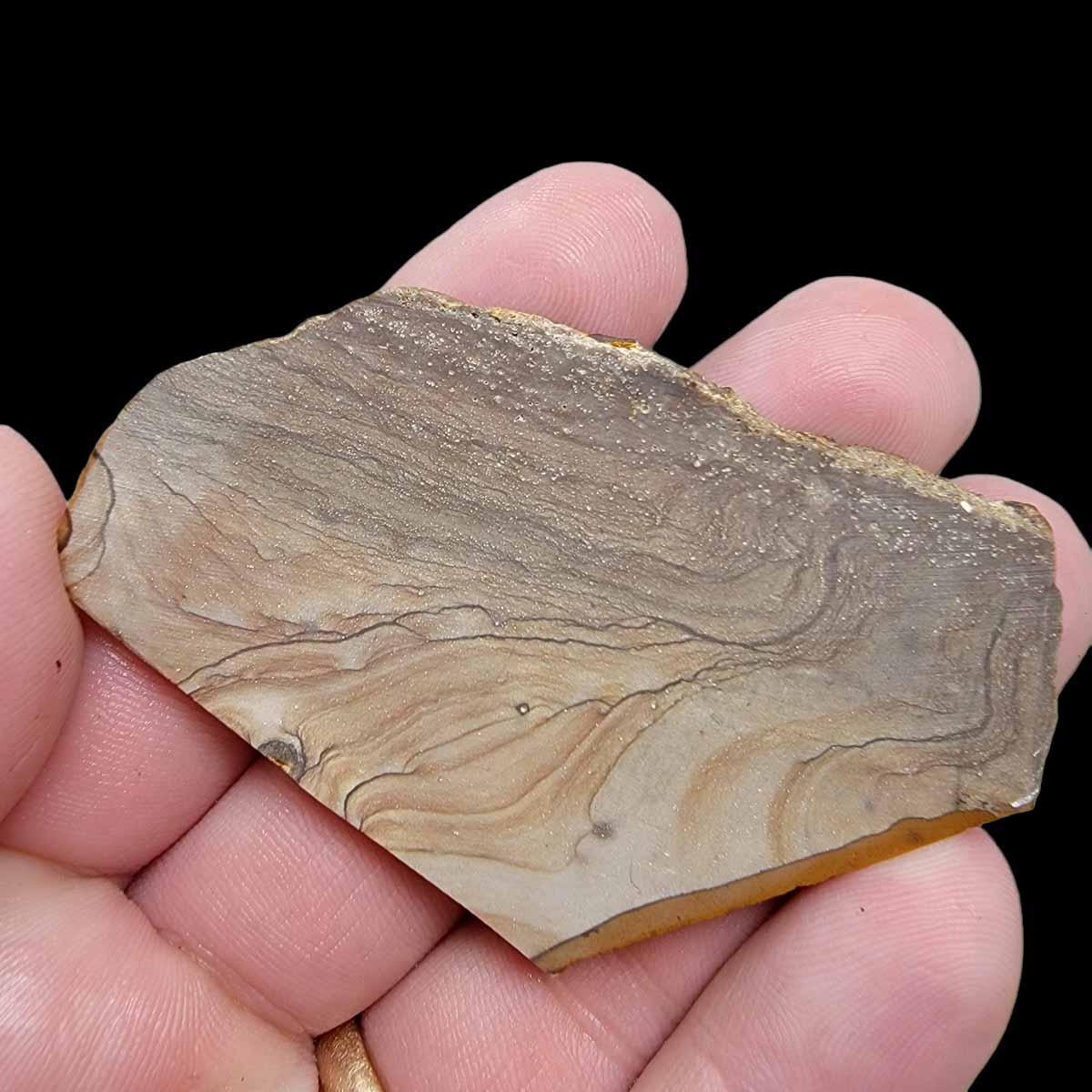 Old Stock Biggs Picture Jasper Slab!  Lapidary Stone Slab! - LapidaryCentral