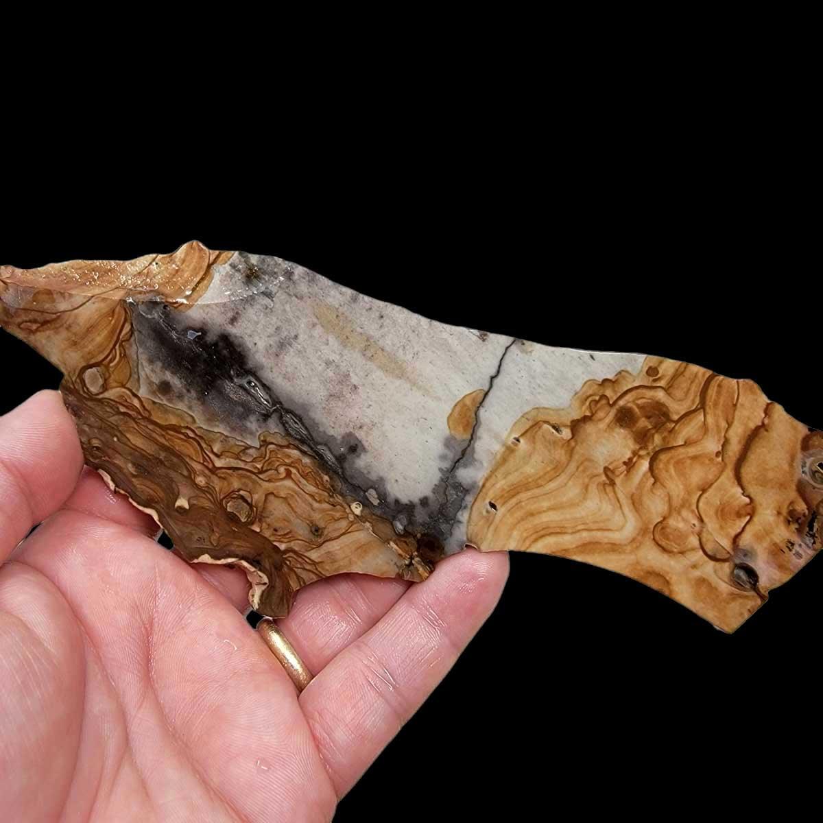 Old Stock Biggs Picture Jasper Slab!  Lapidary Stone Slab! - LapidaryCentral