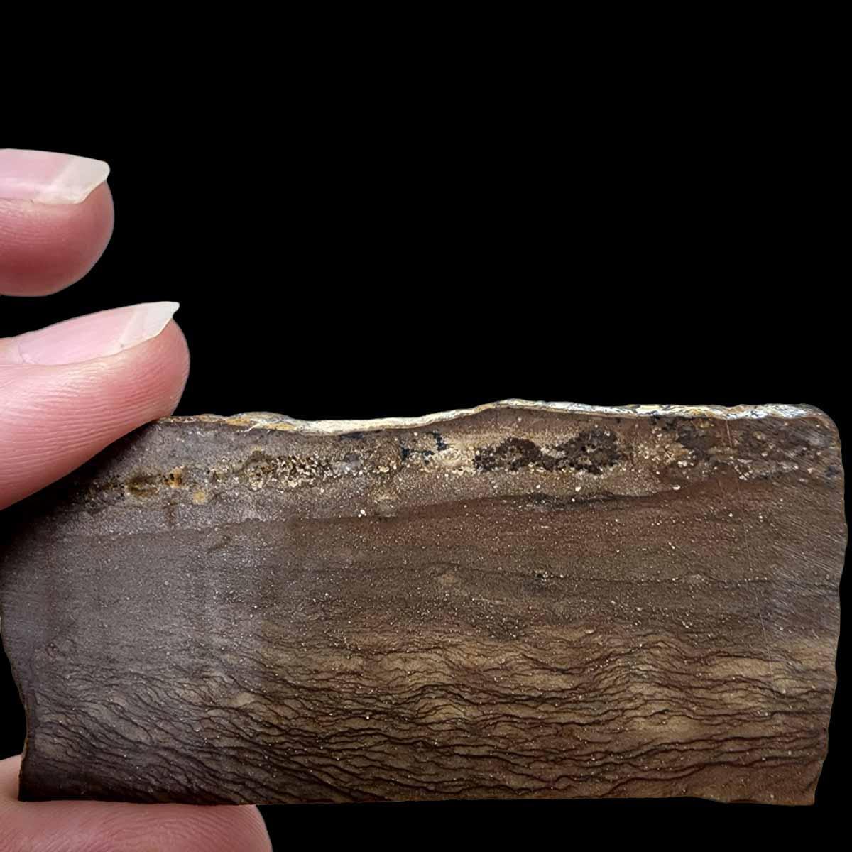 Old Stock Biggs Picture Jasper Slab!  Lapidary Stone Slab! - LapidaryCentral