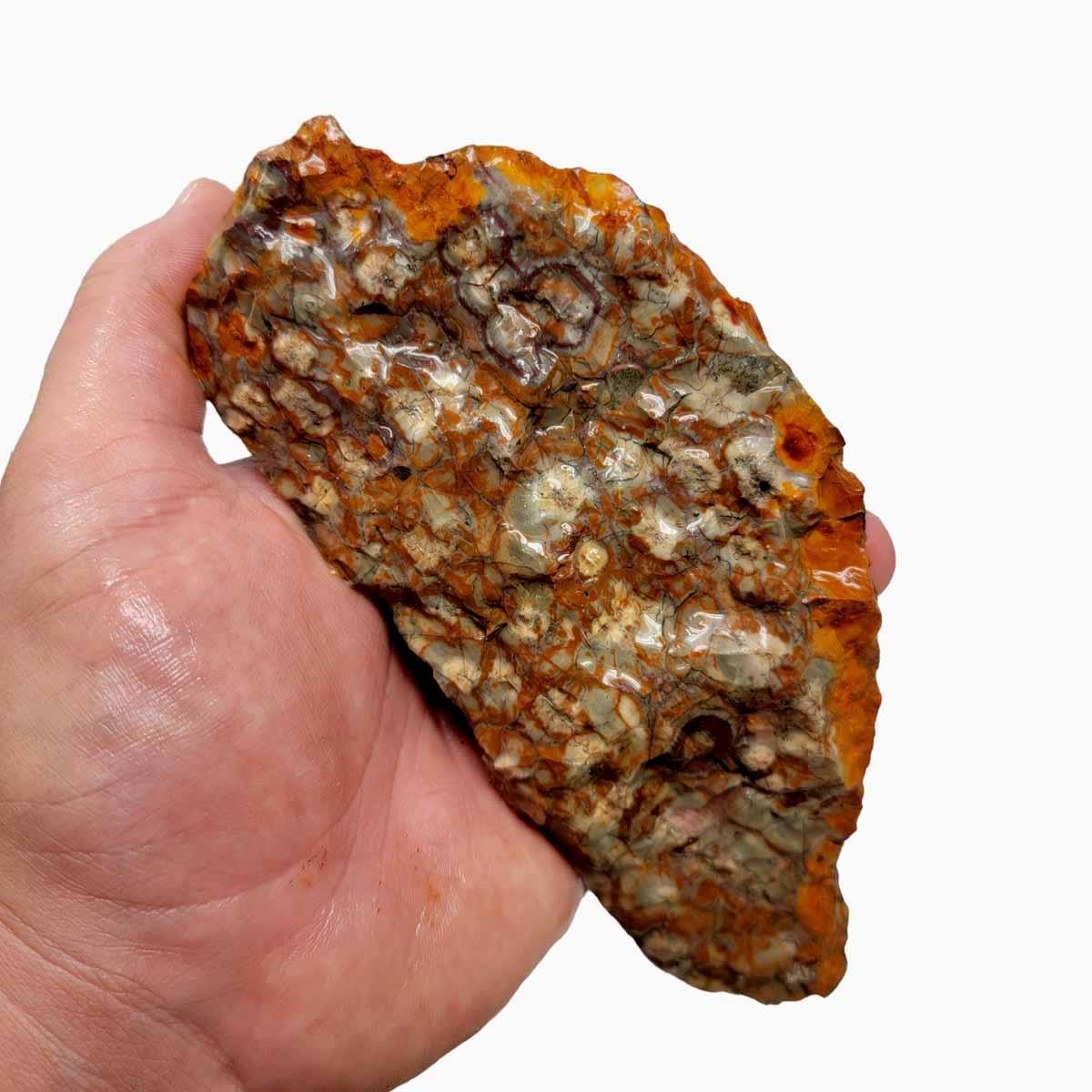 Solid Rhyolite Old Stock Birdseye Rhyolite Rough Chunk!