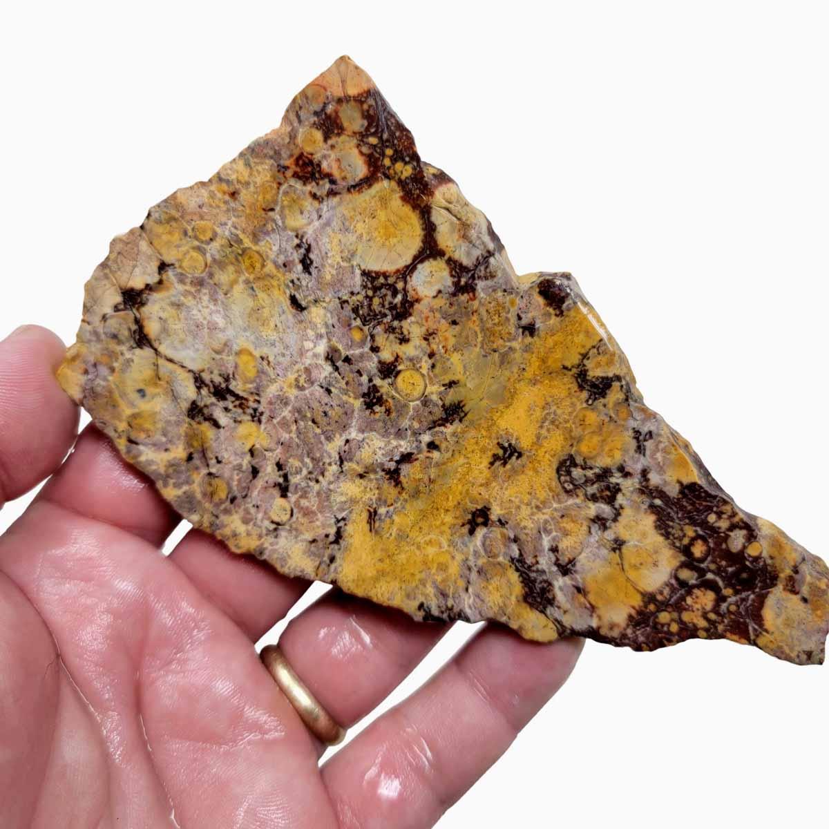 Birdseye Rhyolite Slab!  Lapidary Stone Slab! - LapidaryCentral