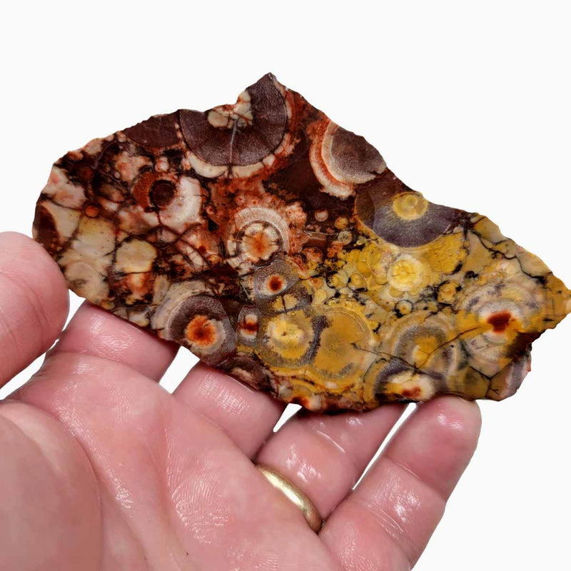 Birdseye Rhyolite Slab!  Lapidary Stone Slab! - LapidaryCentral
