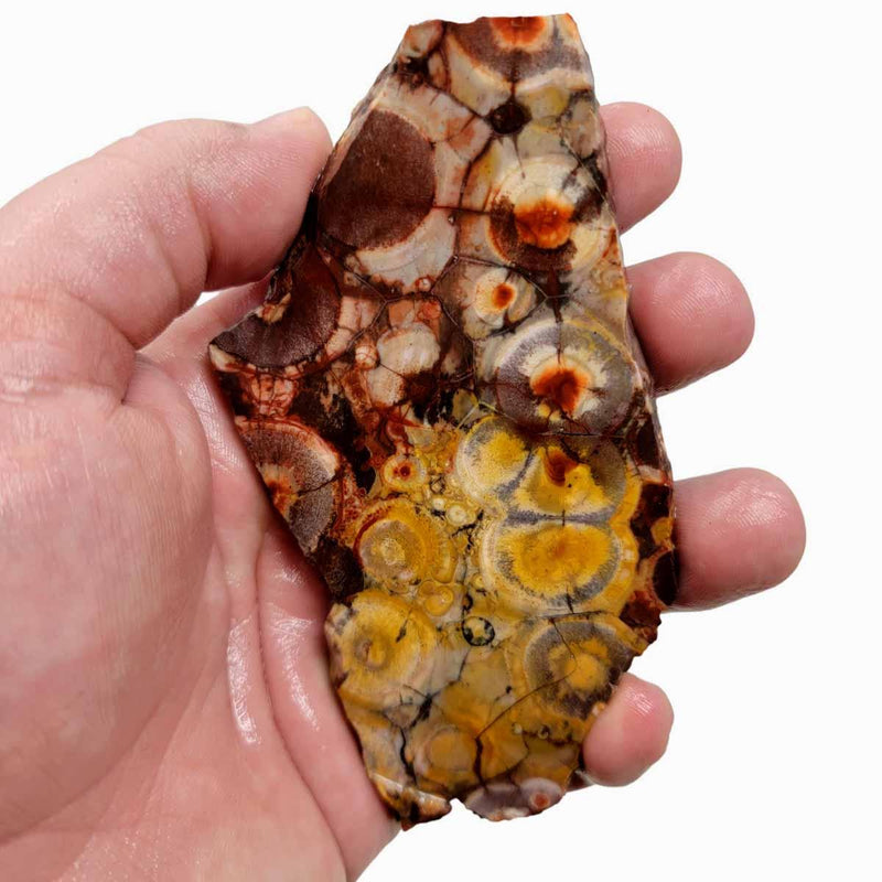 Birdseye Rhyolite Slab!  Lapidary Stone Slab! - LapidaryCentral