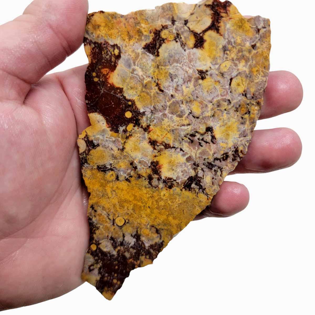 Birdseye Rhyolite Slab!  Lapidary Stone Slab! - LapidaryCentral