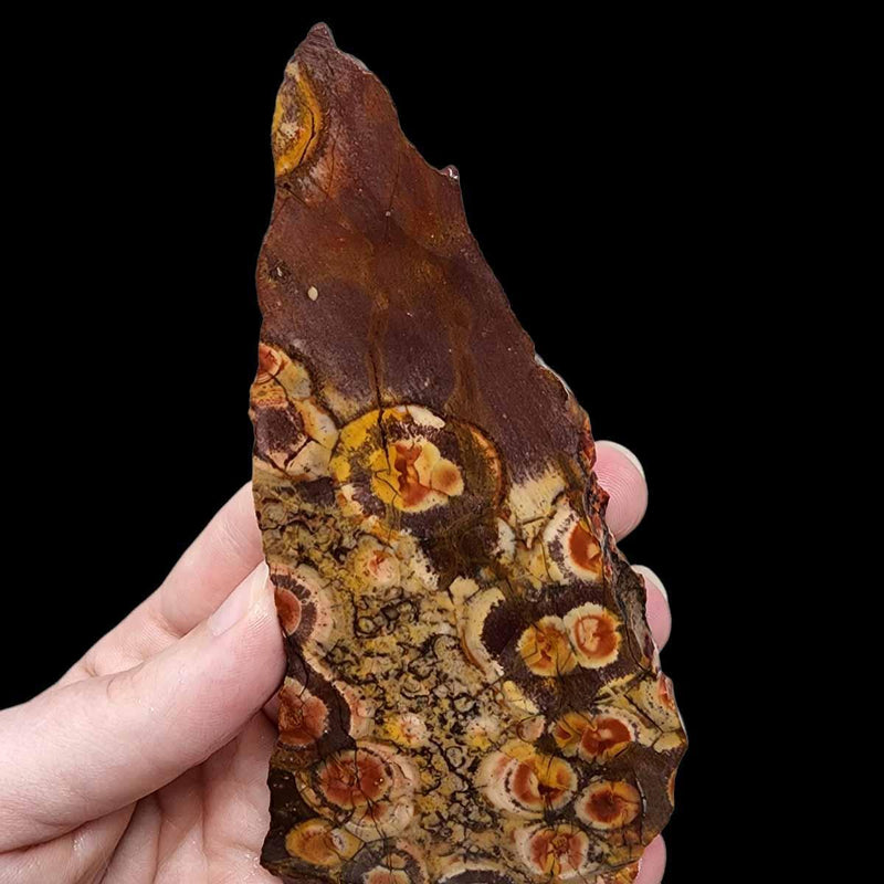 Birdseye Rhyolite Slab!  Lapidary Stone Slab! - LapidaryCentral