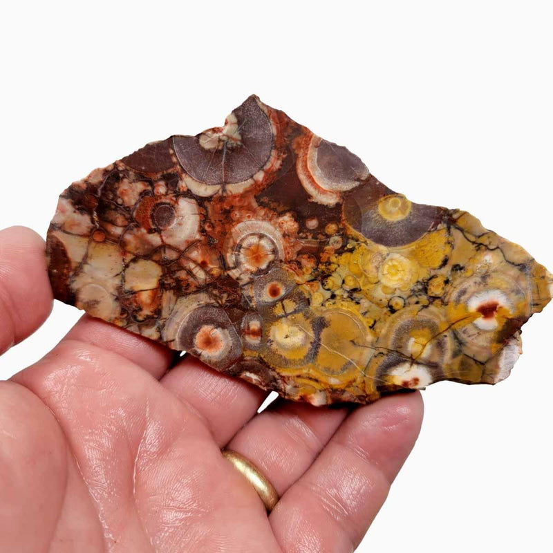 Birdseye Rhyolite Slab!  Lapidary Stone Slab! - LapidaryCentral