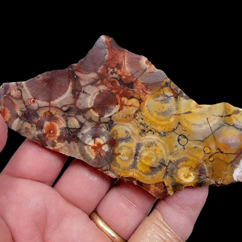 Birdseye Rhyolite Slab!  Lapidary Stone Slab! - LapidaryCentral