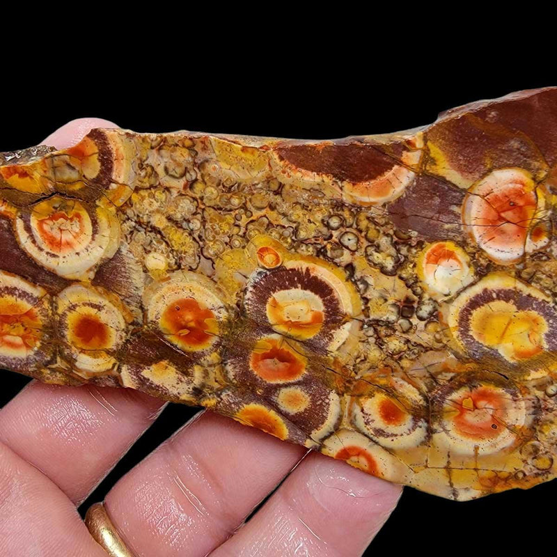 Birdseye Rhyolite Slab!  Lapidary Stone Slab! - LapidaryCentral
