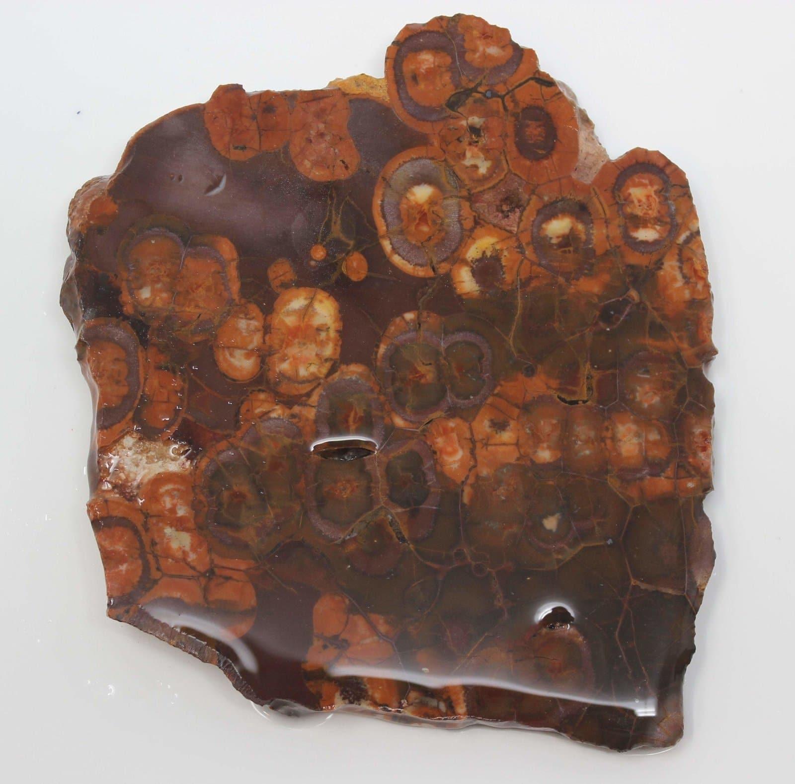 Birdseye rhyolite slab!