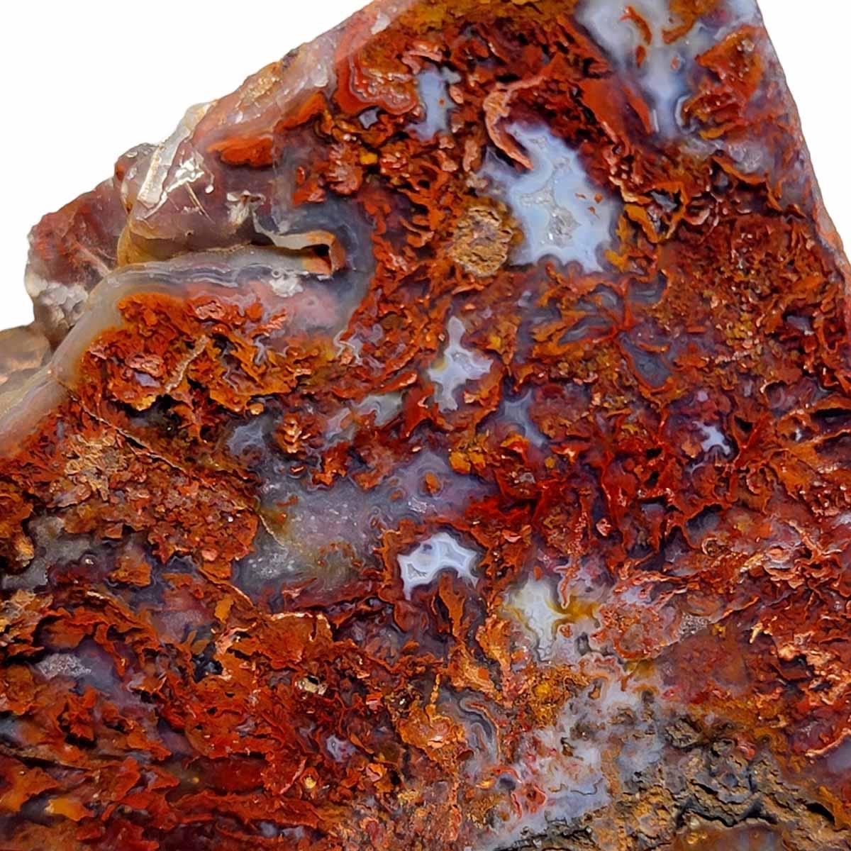 Polished Bloody Basin Agate Display Specimen! - LapidaryCentral