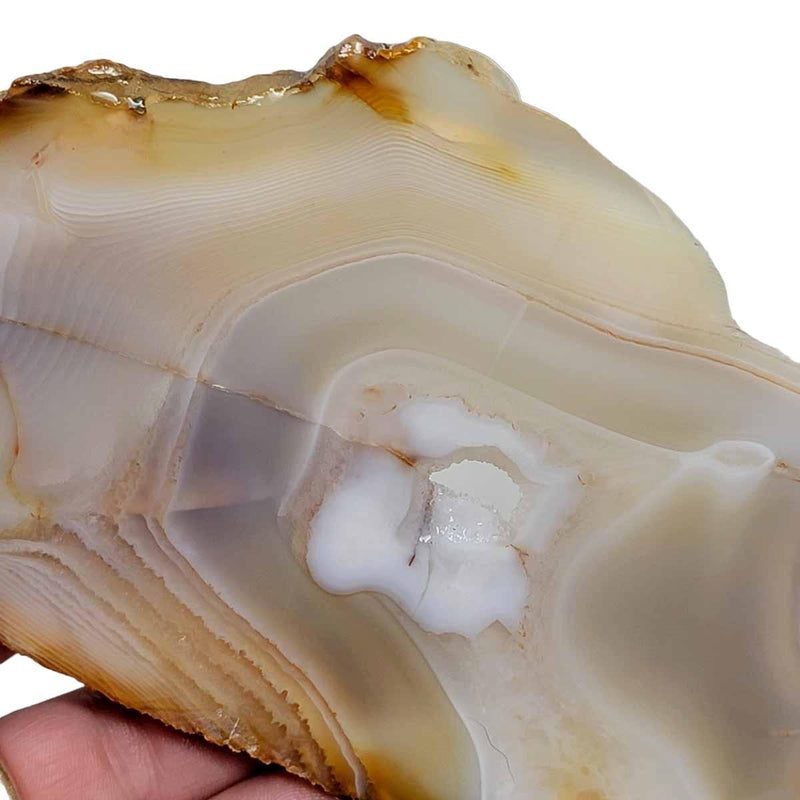Brazilian Agate Slab!  Lapidary Stone Slab! - LapidaryCentral