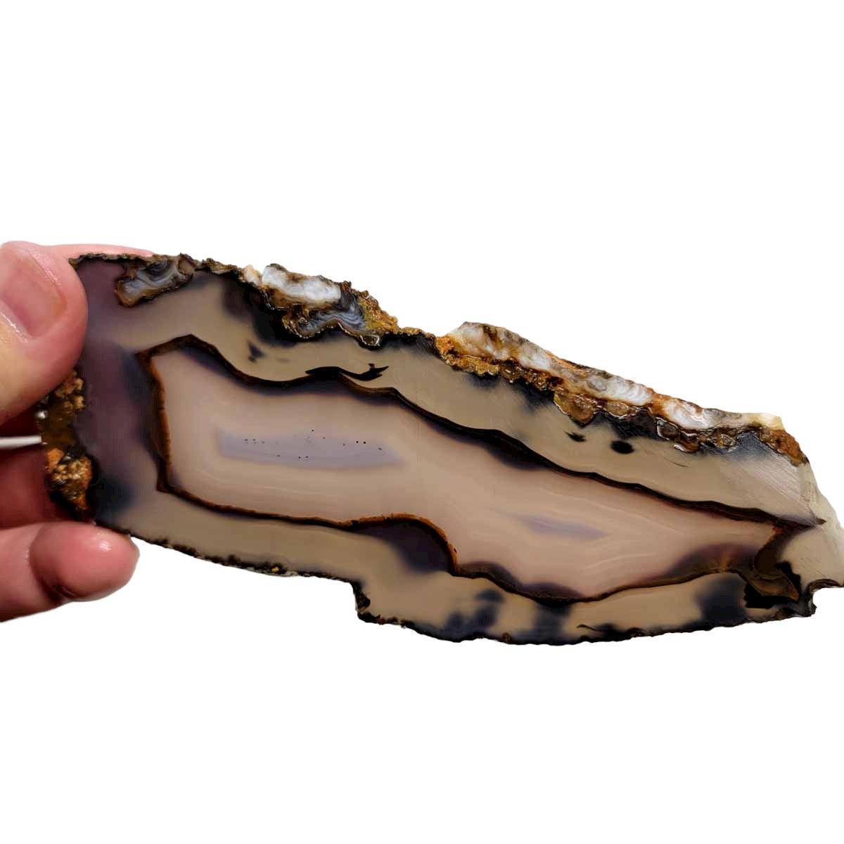 Brazilian Agate Slab!  Lapidary Stone Slab! - LapidaryCentral